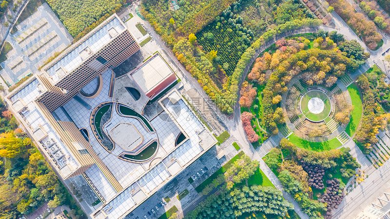三极管：揭秘2024年十大品牌背后的技术实力**