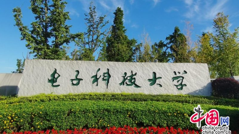 芯片制造商排名背后的考量因素